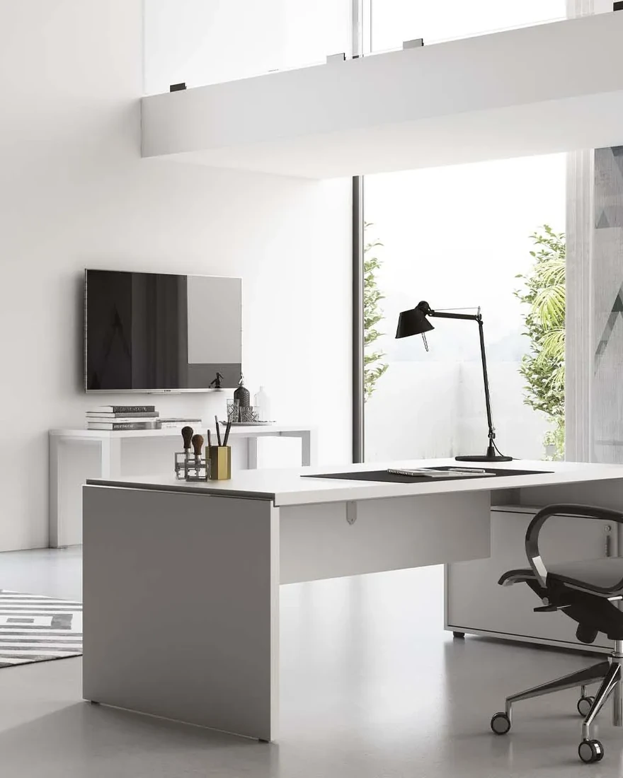Frezza Asset — Executive office furniture